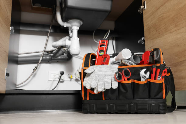 Best Clogged Drain Plumber  in Sac City, IA